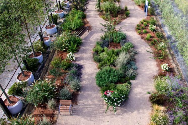 realizzazione-giardini-terapeutici